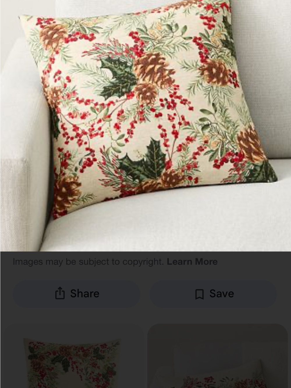 Holly Berry Embroidered Pillow Cover & pillow waterfall features pottery barn